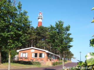 Lastminute Kievit bij de vuurtoren