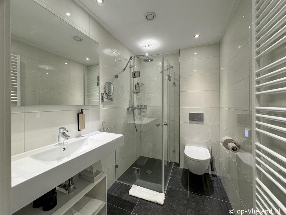  Appartement in Badhotel Bruin met balkon