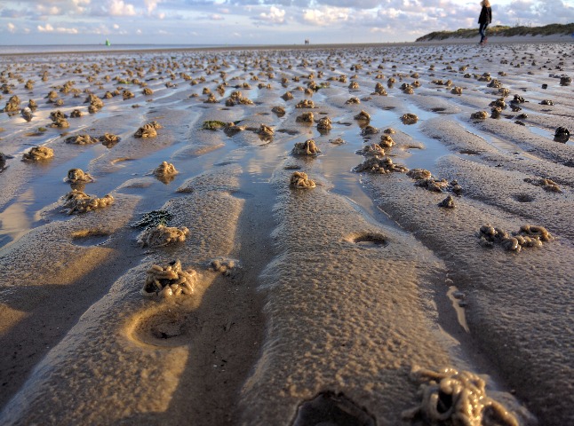 Vlieland, a holiday away from the crowds