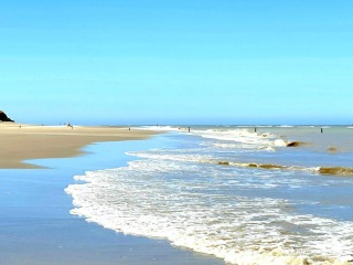 Frühling auf Schiermonnikoog