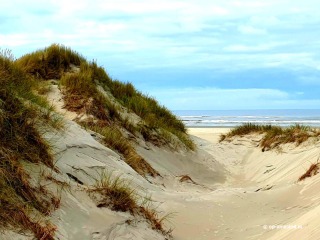 Spring on Ameland