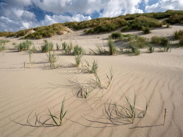 Cultuur op Vlieland