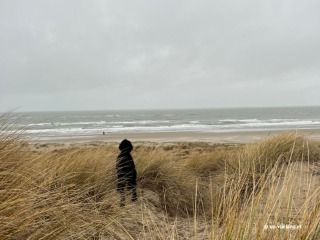 Zum Terschelling mit Ihrem Hund