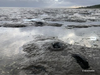 Wadlopen naar Ameland