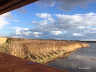 What to do on Texel