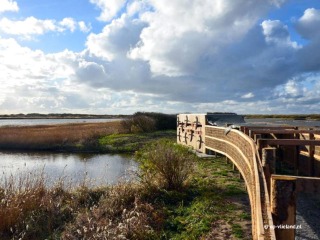 What to do on Texel