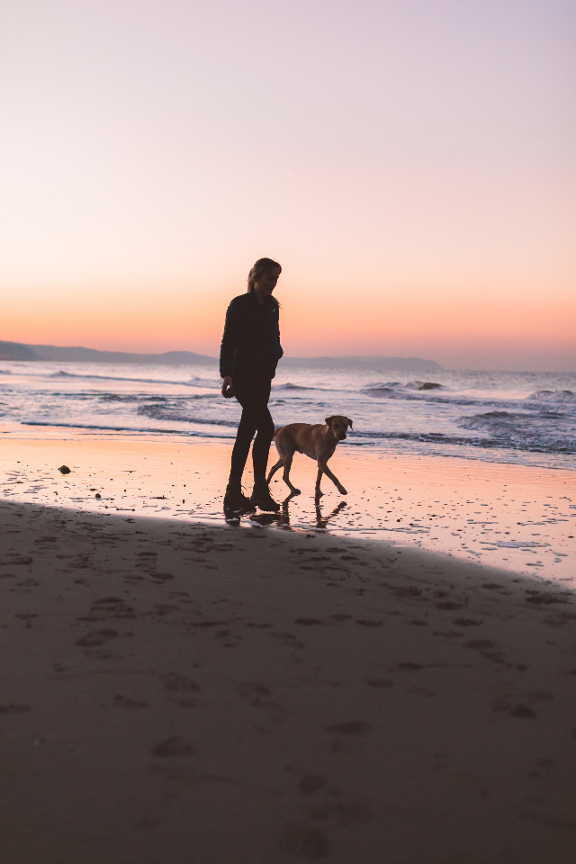 Vakantie met uw hond