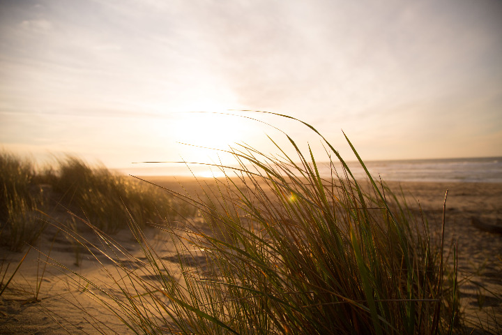 Vakantie met uw hond