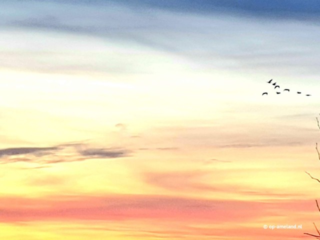 Spring on Ameland