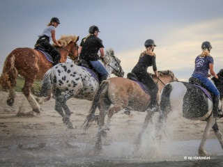 Horse riding on the beach on Vlieland