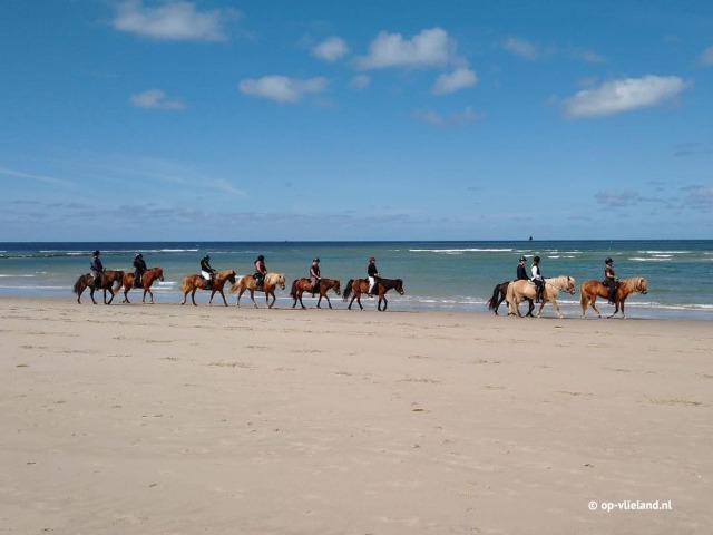 Paardrijden op het strand op Vlieland