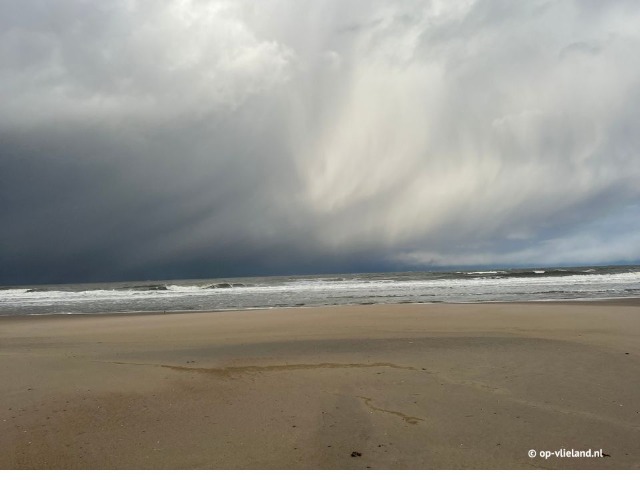 Strand auf Vlieland