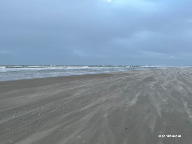 High tide on Vlieland