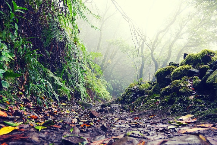 Hiking in Andalusia