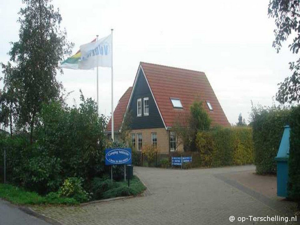 Ceder (Veldzicht)