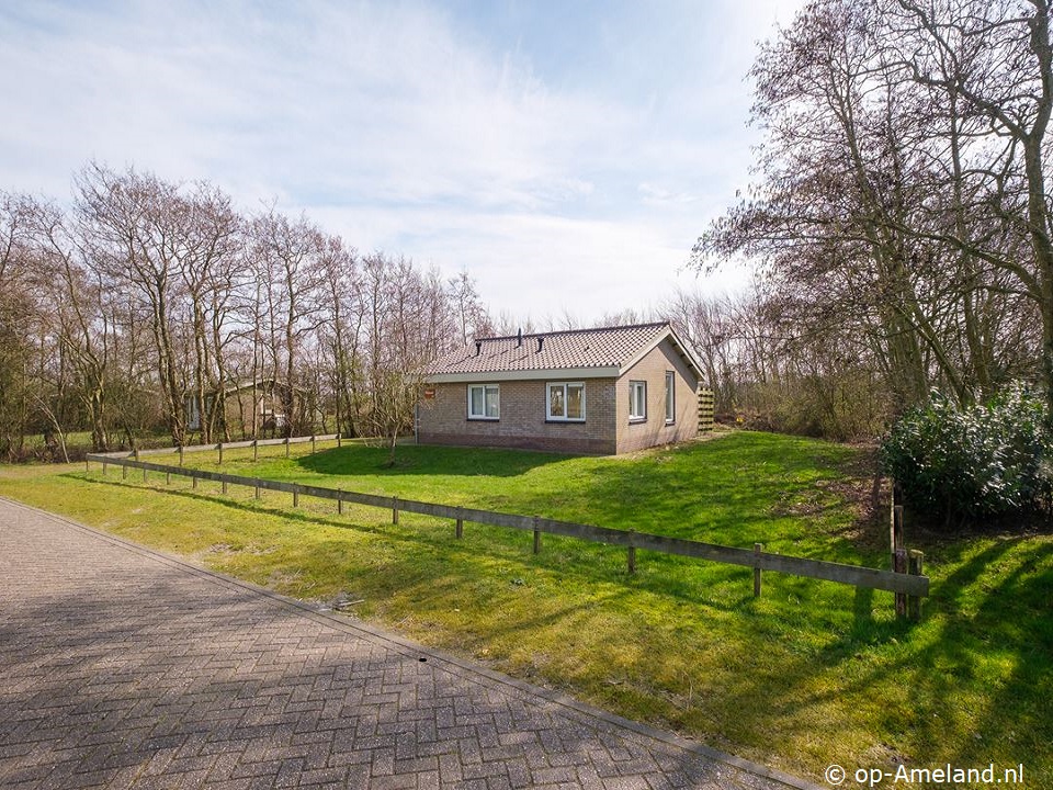 Lastminute Meeuw (Ballum)