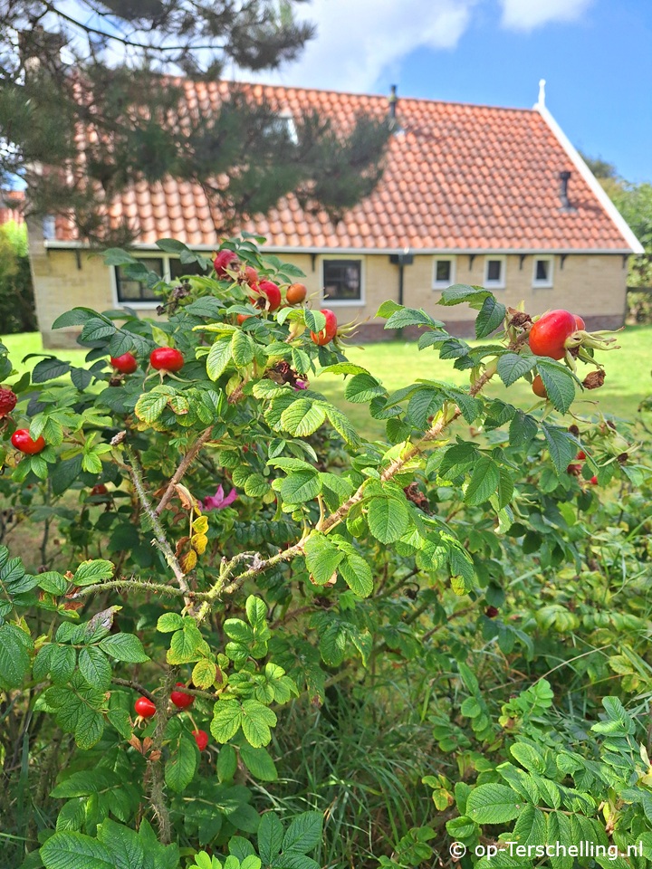Zeeden