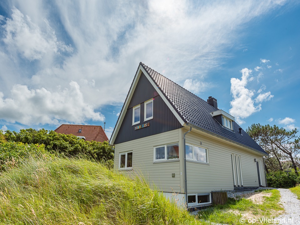 Aan de kust, op Vakantie op Vlieland