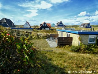 Albatros, op Vakantie op Vlieland