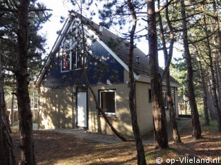 Vlaamse Gaai, op Vakantie op Vlieland