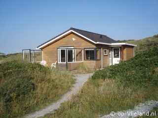 Eider, op Vakantie op Vlieland