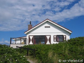 Flierefluiter, op Vakantie op Vlieland