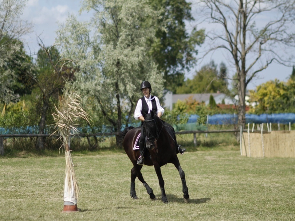 Horse marathon
