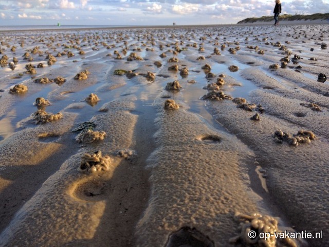 Wreed Handvest Opstand Weekend aan Zee