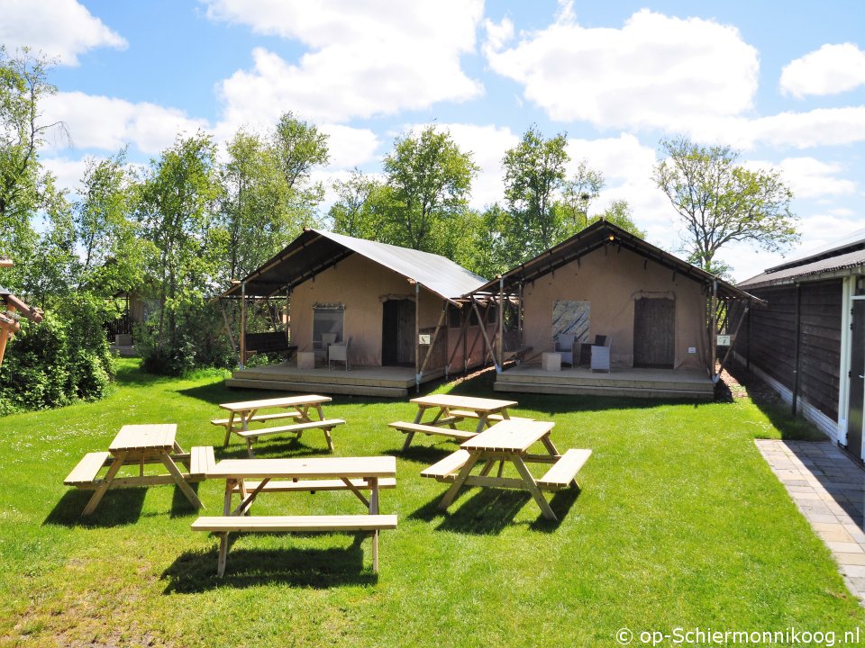 Luxe Safarigroepstenten op camping Eureca. 